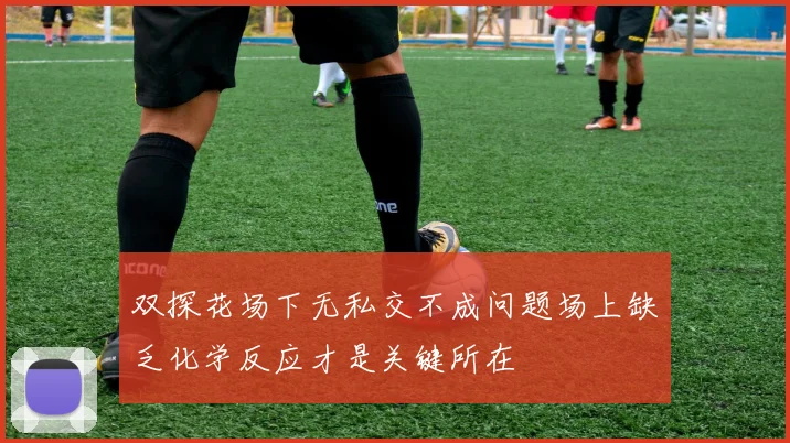双探花场下无私交不成问题场上缺乏化学反应才是关键所在